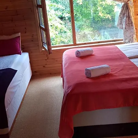 A Beautiful House With A Garden And A View Of The Fjords * オスロ