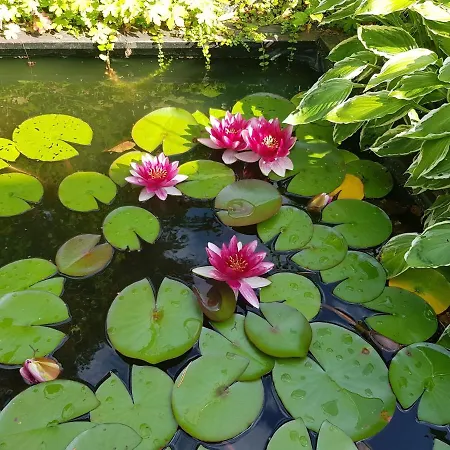 A Beautiful House With A Garden And A View Of The Fjords 빌라 *